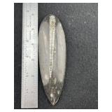 Amorite Fossil Indian Artifact Arrowhead