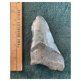Fossil Indian Artifact Arrowhead