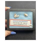 Conch Shell Beads with Riker frame included