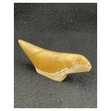 Unusual Quartz Birdstone Indian Artifact Arrowhead