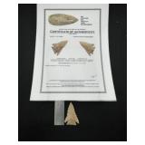 Horse Creek Pine Tree with Insight COA from Madiso