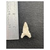 Texas Toyah/Washita Indian Artifact Arrowhead