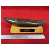 T-Rex Fossil Reproduction