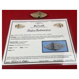 Winged Bannerstone with Robert Butler COA from Ten