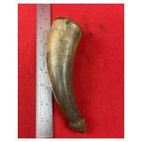 Powder Horn Indian Artifact Arrowhead