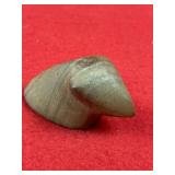 Popeyed Birdstone Indian Artifact Arrowhead