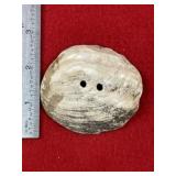 Shell Gorget Indian Artifact Arrowhead