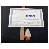 Adena Robbins Point with Sam Johnson COA from Hot