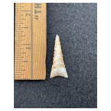 Gem Quality Arrow Point