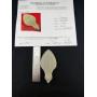 Indian Artifact, Silver Coin & Baseball Card Auction Mike Ni