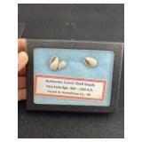 Shell Bead with Riker Frame