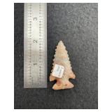 Pine Tree  Indian Artifact Arrowhead