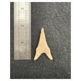 Dalton Indian Artifact Arrowhead