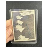 Beetle Card