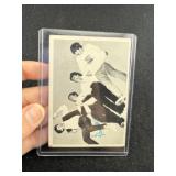 Beetle Card