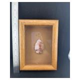 Framed Arrow Point Indian Artifact Arrowhead