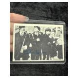 Beetle Card