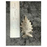 Exotic Point Indian Artifact Arrowhead