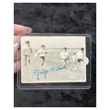 Beetle Card