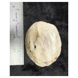 Shell Pendant Indian Artifact Arrowhead