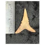Dalton Indian Artifact Arrowhead