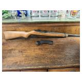 Ruger 10/22 w/ banana clip
