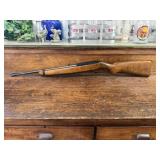Ruger 10/22