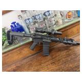 Palmetto PA-15 Multi. Cal. Bushnell scope. Crimson