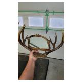 MIRROR ANTLERS