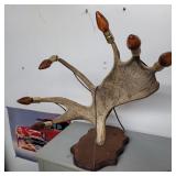 27' antler light