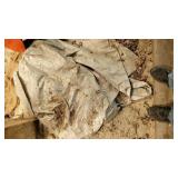 TARP
