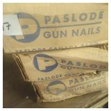 3 cases pasload nails