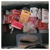 CONTAINER OF LIGHT BULBS