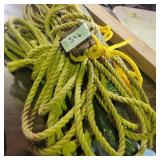 ROPE