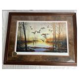 Pheasants Forever "Graceful Descent-Mallards"