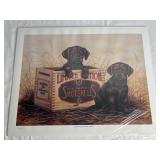 Ducks Unlimited 1996 PA Greenwing Print Signed b