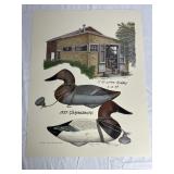 1950 Canvasbacks Decoys Print by Paul W. Shertz