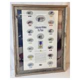 Framed Diagram/Poster of The Campaign Ribbon Fly