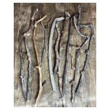 Unique Shaped Sticks/Potential Walking Sticks