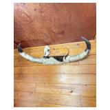 Artificial cattle horns on wall