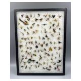 Fly Fishing Lures in Display Case