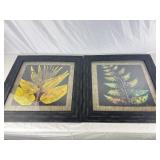 Two Large Nature Prints 25x25 Inches.