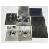 8 Glass Plate Negatives