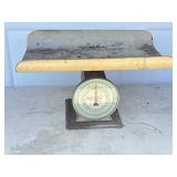 Hanson Nursery Scale.