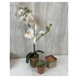 Faux Potted Orchid, Faux Potted Succulent, &