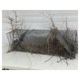 Large Live Trap.