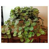 Basket w/ Artificial Foliage