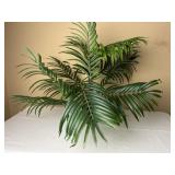 Small Potted Palm Tree