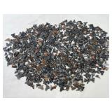 Bulk Lot of Shark Teeth