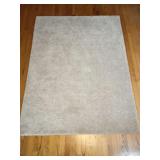 Beige Textured Shag Area Rug 4.5